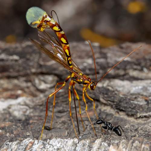Превью фотографии фотографа Черенков Павел