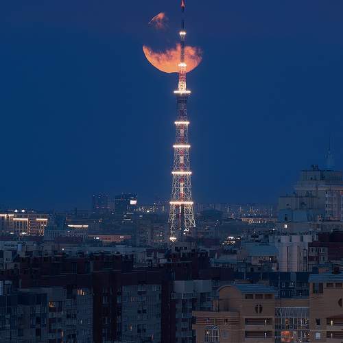 Превью фотографии фотографа Чехонин Александр