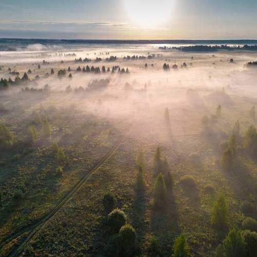 Превью фотографии фотографа Александр Чибиркин