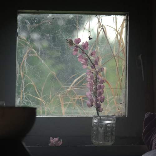 Превью фотографии фотографа Мартынов Тим