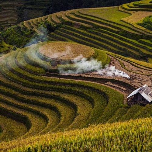 Превью фотографии фотографа Dang Thanh Son