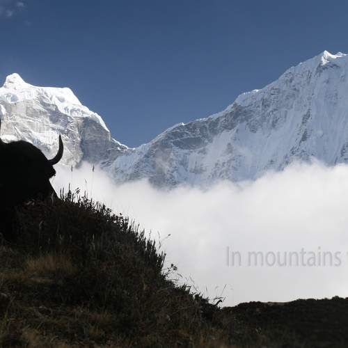 Превью фотографии фотографа Коваль Дмитр