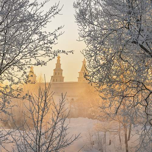 Превью фотографии фотографа Бирюков Вячеслав