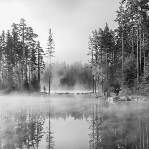 Превью фотографии фотографа Мариана Добрева