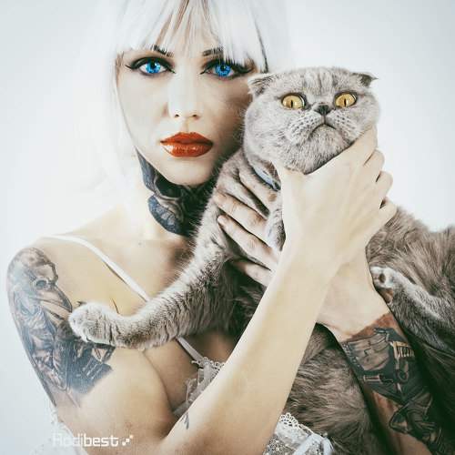 Превью фотографии фотографа Rodi Almog