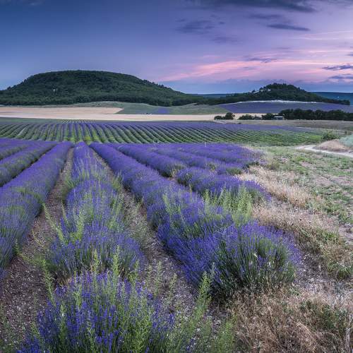 Превью фотографии фотографа Станислав Савицкий