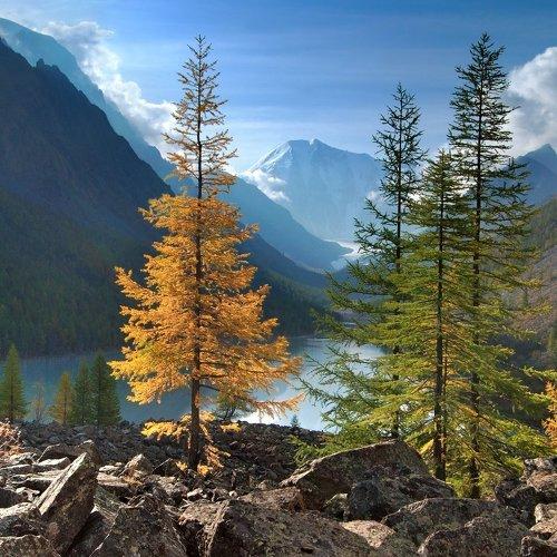 Превью фотографии фотографа Клековкин Алексей