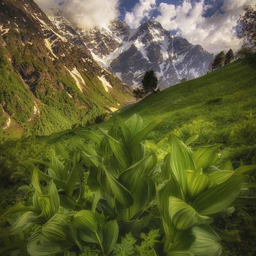 Превью фотографии фотографа Колобов Николай