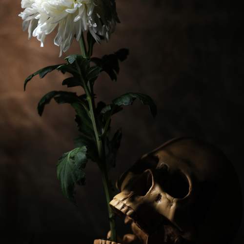 Превью фотографии фотографа Мартынов Тим