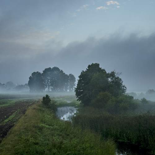 Превью фотографии фотографа Eugenijus Rauduve