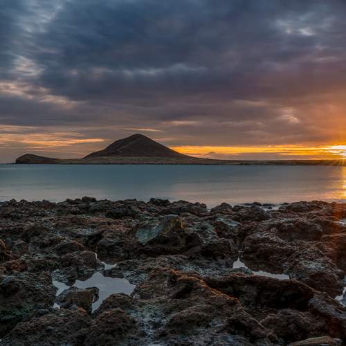 Превью фотографии фотографа Jelena Murina