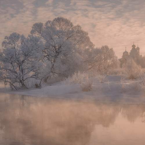 Превью фотографии фотографа Гусева Елена