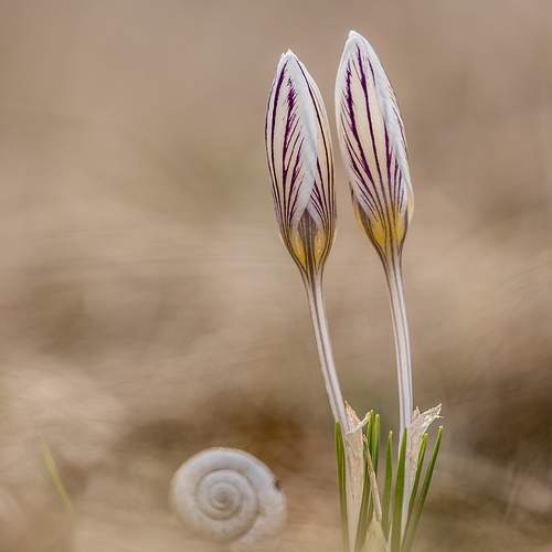 Превью фотографии фотографа Илья Михеев