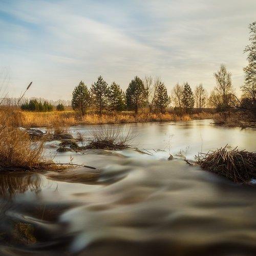 Превью фотографии фотографа Justinas Kondrotas