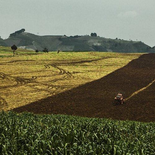 Превью фотографии фотографа Dang Thanh Son