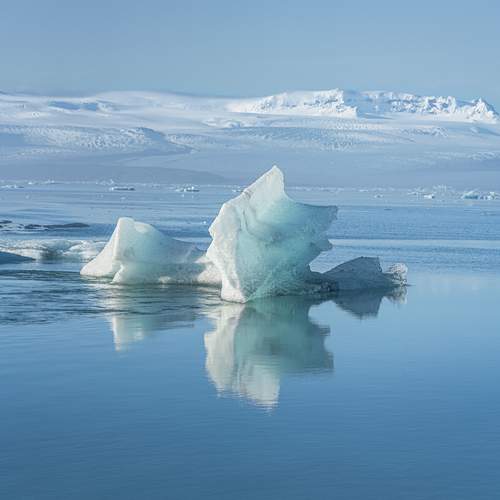 Превью фотографии фотографа Jelena Murina