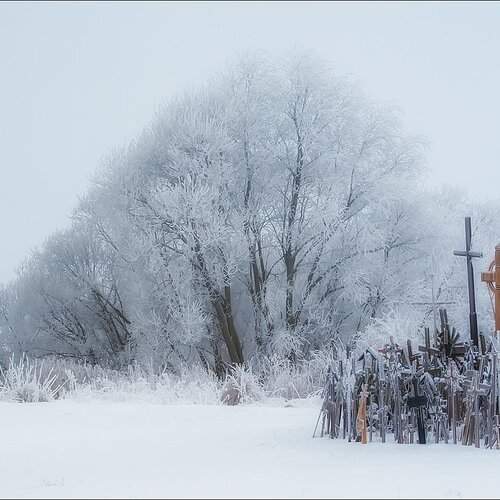 Превью фотографии фотографа Daiva Seibeliene