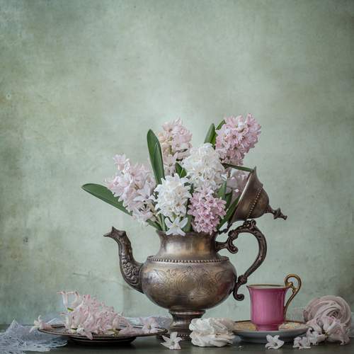 Превью фотографии фотографа Jelena Murina