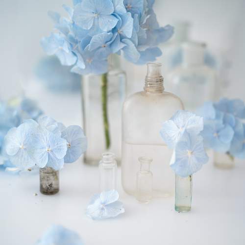 Превью фотографии фотографа Jelena Murina