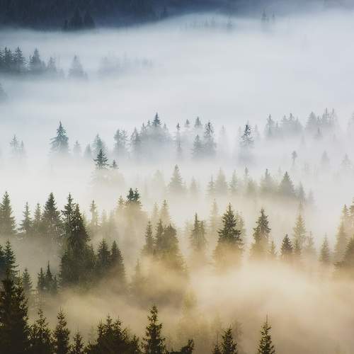 Превью фотографии фотографа Stefan Chirobocea