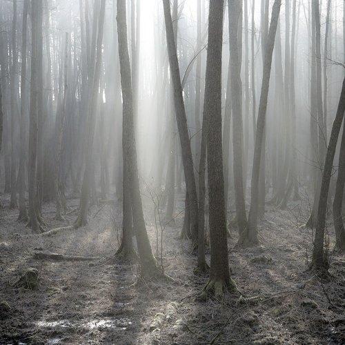 Превью фотографии фотографа  MiroM