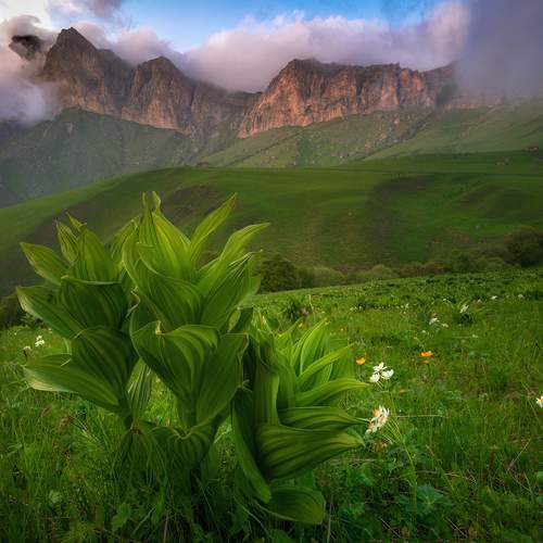 Превью фотографии фотографа Колобов Николай