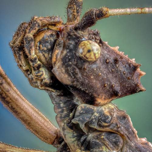 Превью фотографии фотографа Олег Савицкий