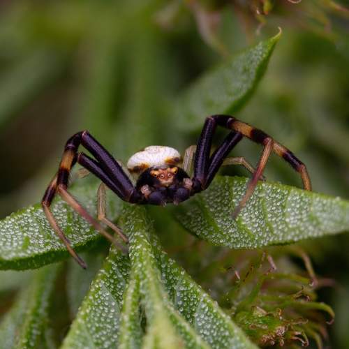 Превью фотографии фотографа  Богдан