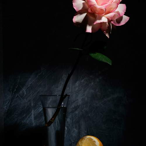 Превью фотографии фотографа Мартынов Тим