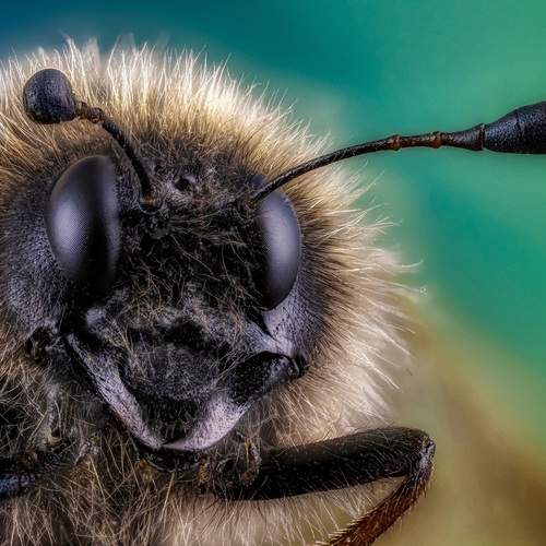 Превью фотографии фотографа Олег Савицкий