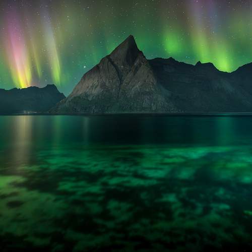 Превью фотографии фотографа Вукотић Никола