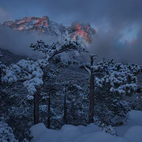 Превью фотографии фотографа Коваль Дмитр