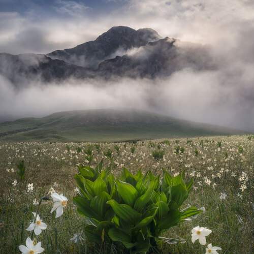 Превью фотографии фотографа Вукотић Никола