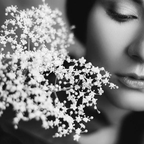 Превью фотографии фотографа Борисенко Денис