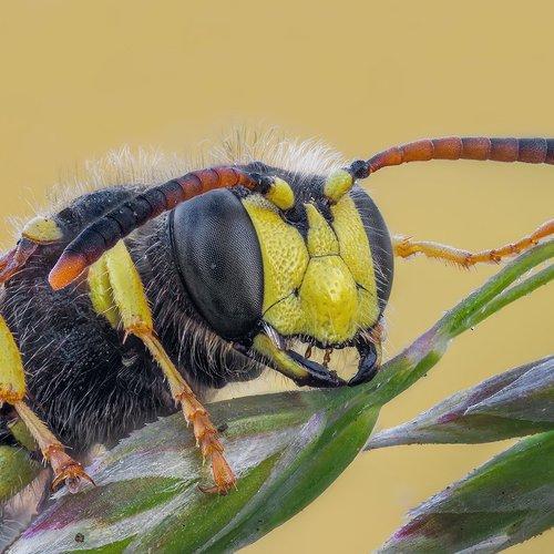 Превью фотографии фотографа Alexandr Melnik