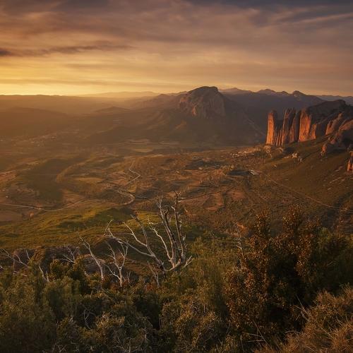 Превью фотографии фотографа Tony Goran