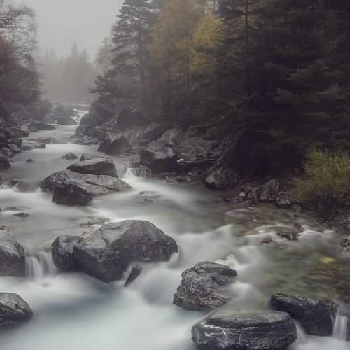 Превью фотографии фотографа Tony Goran