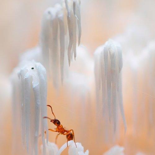 Превью фотографии фотографа Валерия Зверева