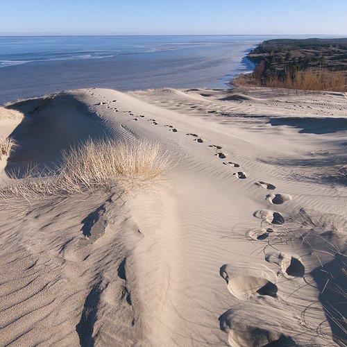 Превью фотографии фотографа Daiva Cirtautė