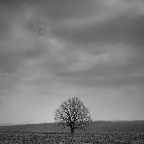 Превью фотографии фотографа Борисенко Денис