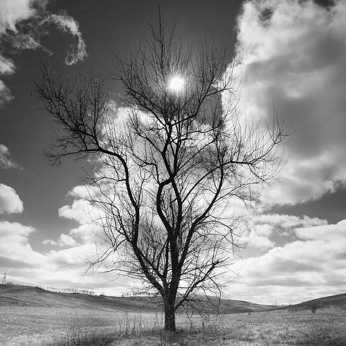 Превью фотографии фотографа Борисенко Денис