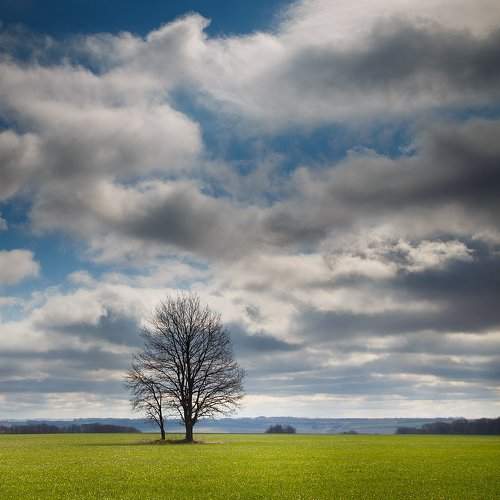 Превью фотографии фотографа Борисенко Денис
