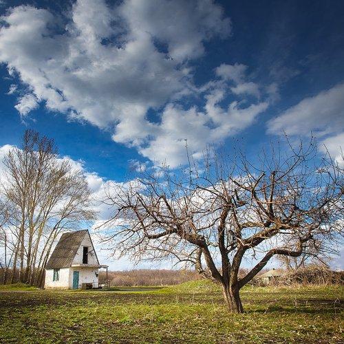 Превью фотографии фотографа Борисенко Денис