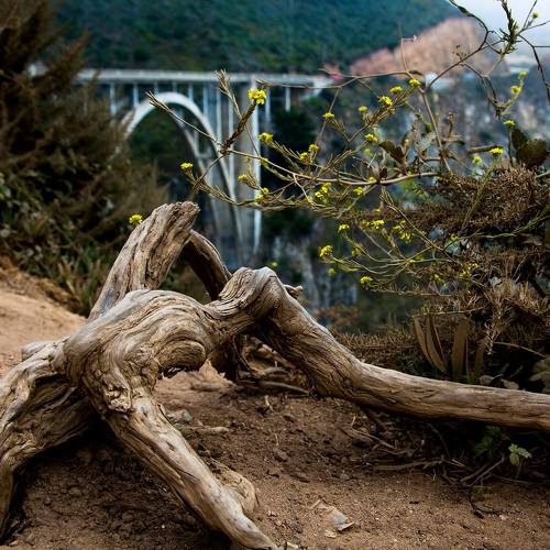 Превью фотографии фотографа Пётр Берберов