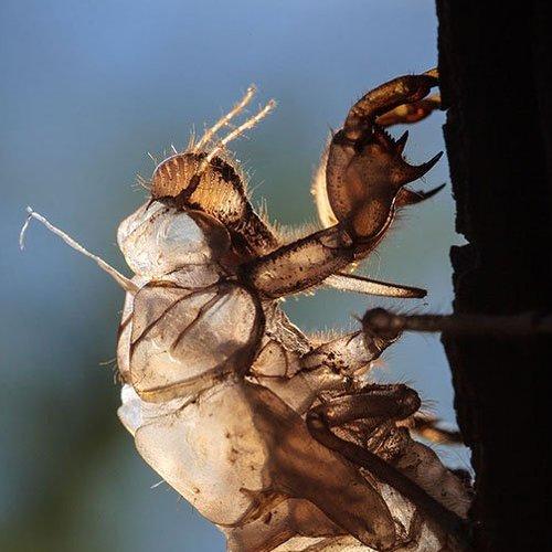 Превью фотографии фотографа Владимир Нейморовец