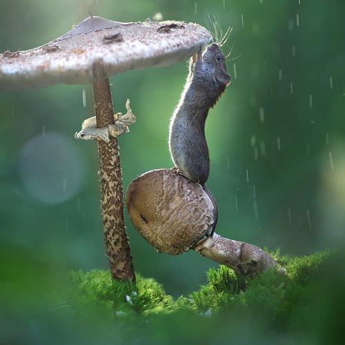 Превью фотографии фотографа Вадим Трунов