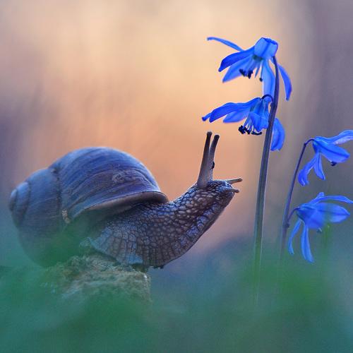Превью фотографии фотографа Макеев Алексей