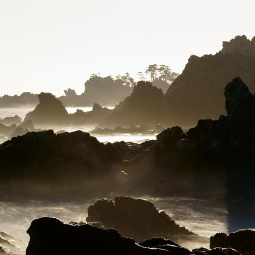 Превью фотографии фотографа Shin