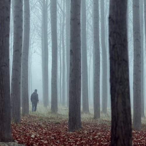 Превью фотографии фотографа Tony Goran