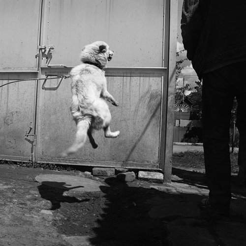 Превью фотографии фотографа Бондаренко Александр